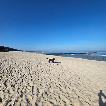 Nowy! Pinea113 Z Aneksem Kuchennym, Przy Plazy, Basen, Sauna, Garaz W Cenie, 100m Od Glownej Promenady Pobierowo