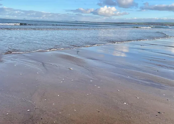 Апартаменты Nowy! Pinea113 Z Aneksem Kuchennym, Przy Plazy, Basen, Sauna, Garaz W Cenie, 100m Od Glownej Promenady Поберово