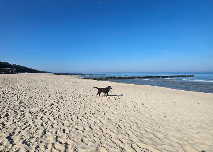 Nowy! Pinea113 Z Aneksem Kuchennym, Przy Plazy, Basen, Sauna, Garaz W Cenie, 100m Od Glownej Promenady Поберово